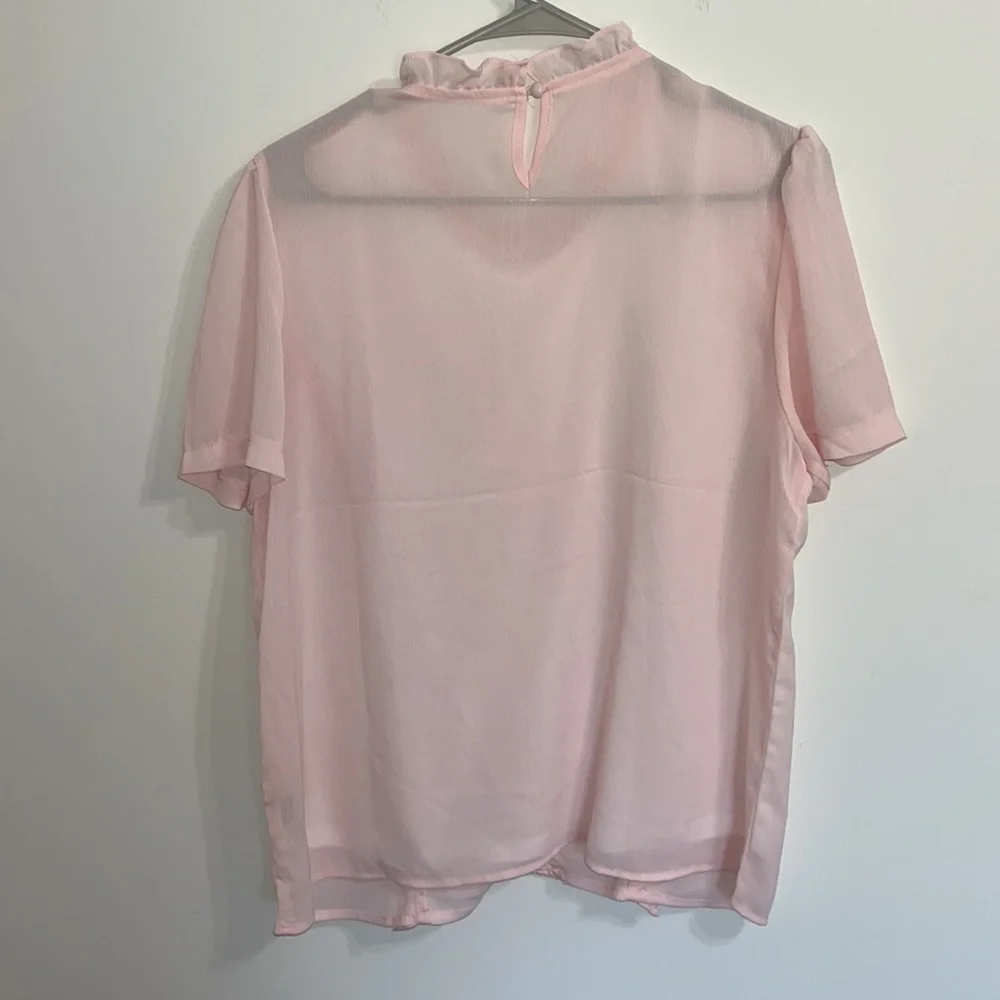 Pink Blouse - Picture 2 of 3